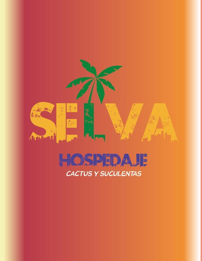 Selva Hospedaje Valparaíso Екстериор снимка