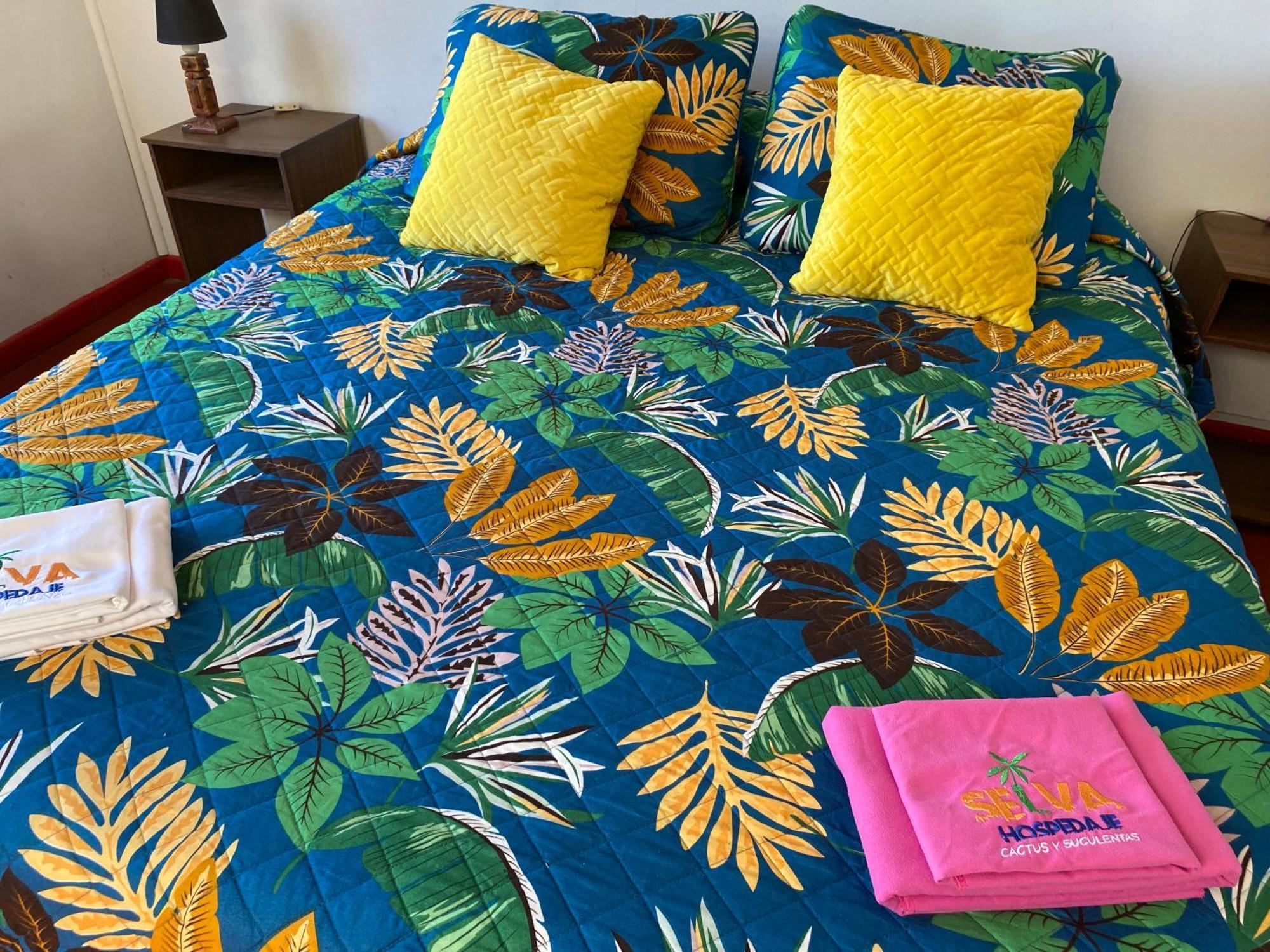 Selva Hospedaje Valparaíso Екстериор снимка